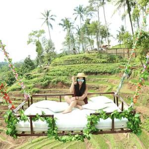 Meet your Posher, Jill